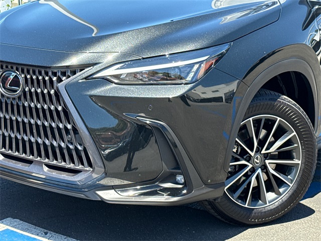 2024 Lexus NX 350h Premium photo 7