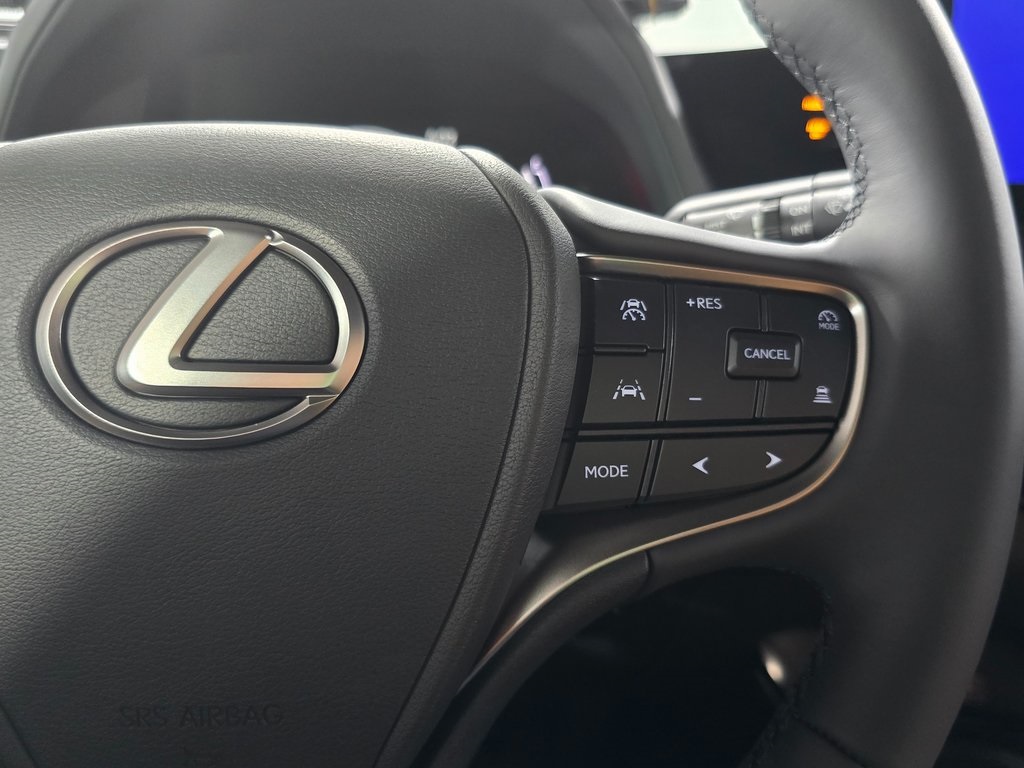 2025 Lexus UX photo 15