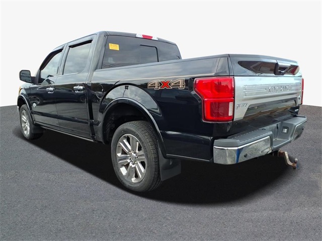 2019 Ford F-150 Platinum photo 3