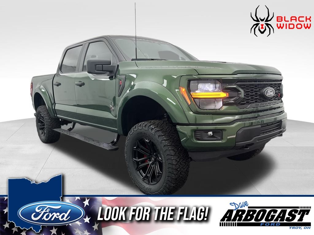 2025 Ford F-150 STX's photo