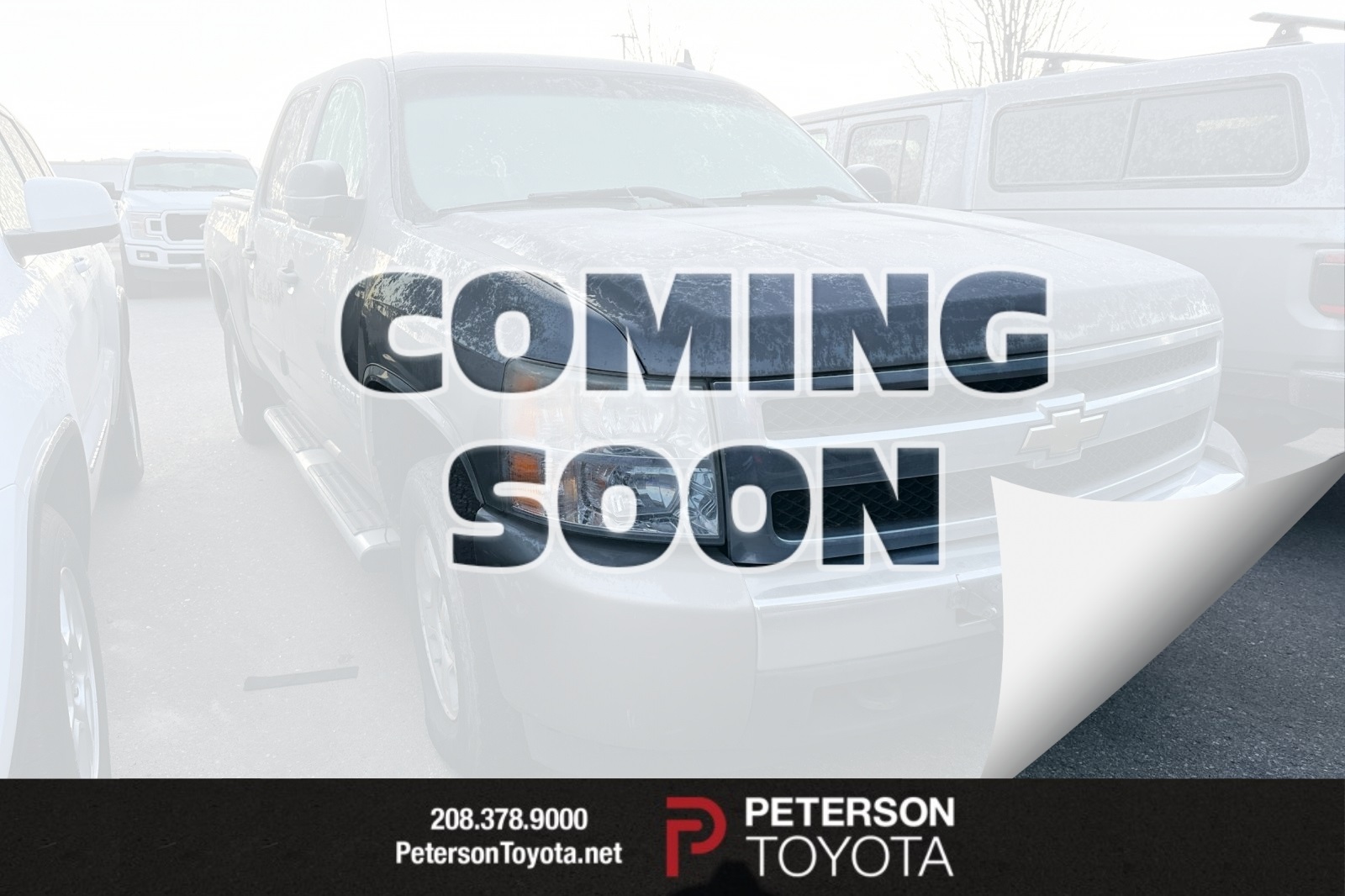 2009 Chevrolet Silverado 1500 WT's photo