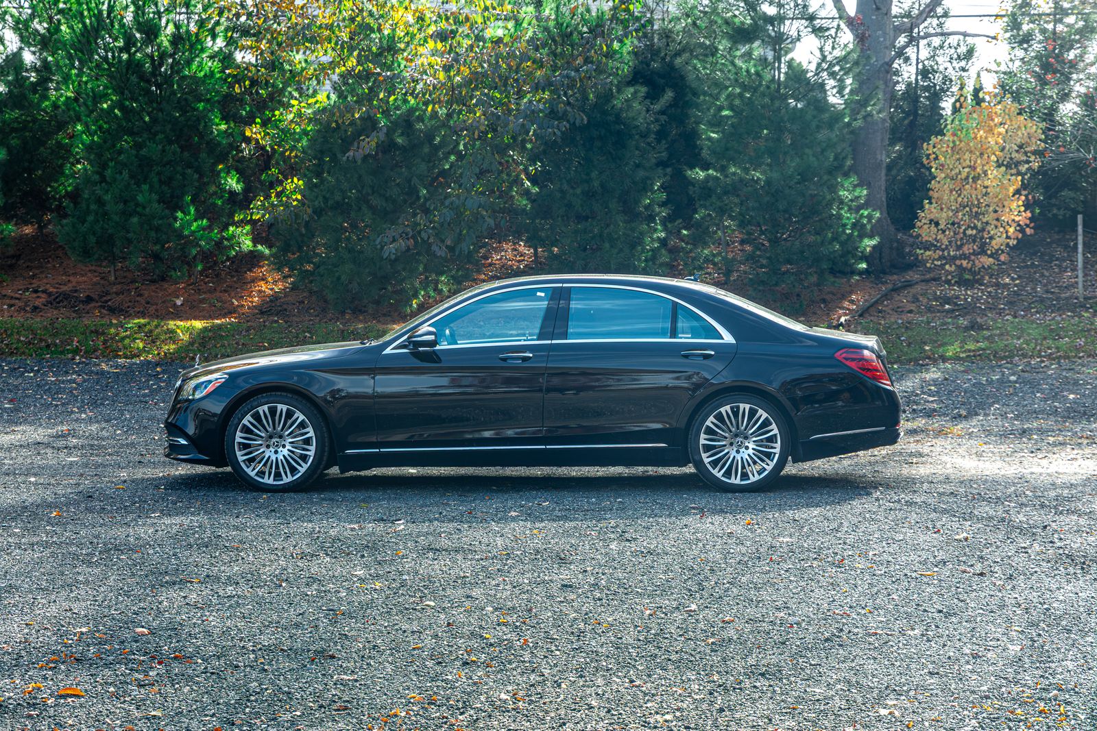 2019 Mercedes Benz S 450 photo 2