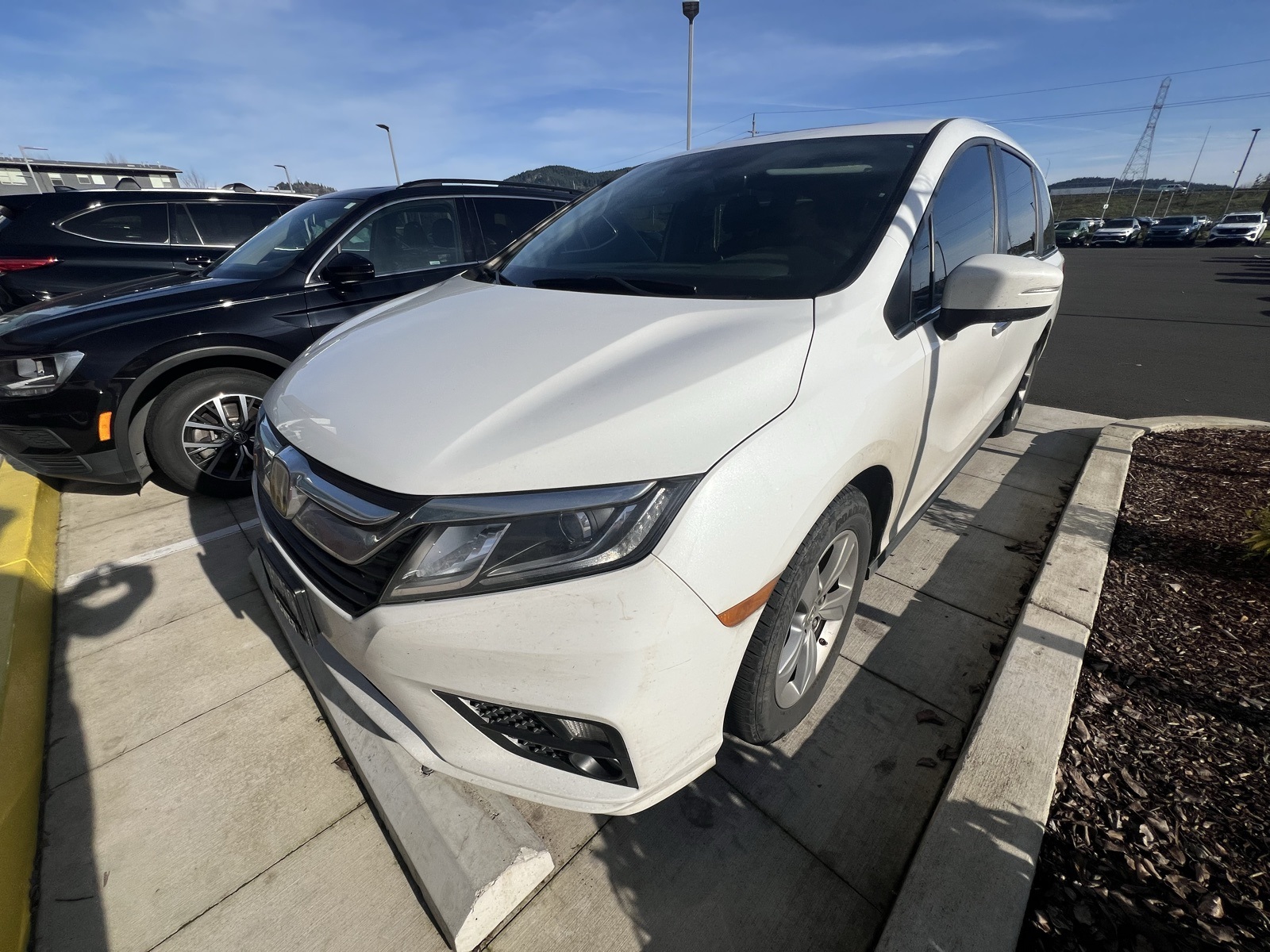 2020 Honda Odyssey EX-L's photo