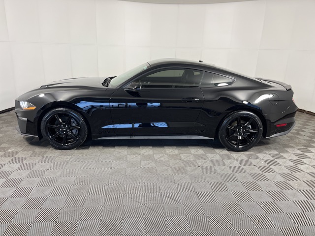 2019 Ford Mustang GT Premium photo 4