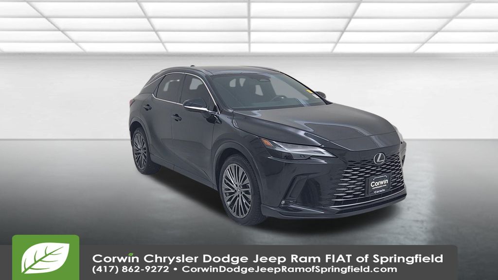 2024 Lexus RX 350 Luxury photo 3