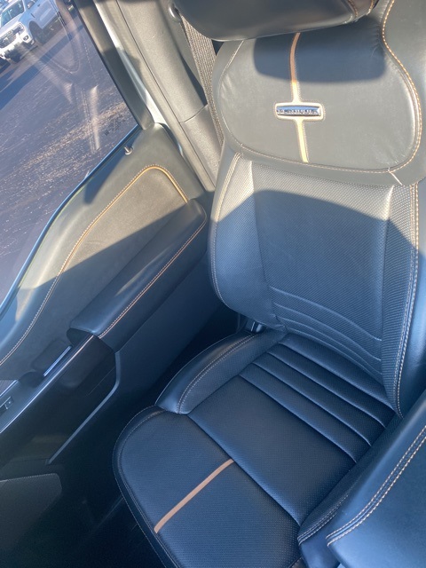 2022 Ford F-150 Platinum photo 30