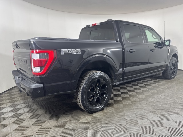 2023 Ford F-150 Platinum photo 3