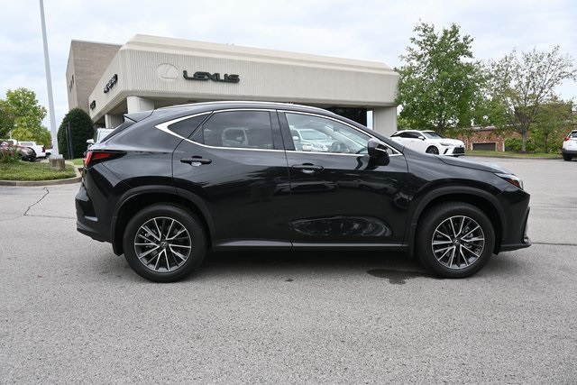 2024 Lexus NX 350h Luxury photo 2