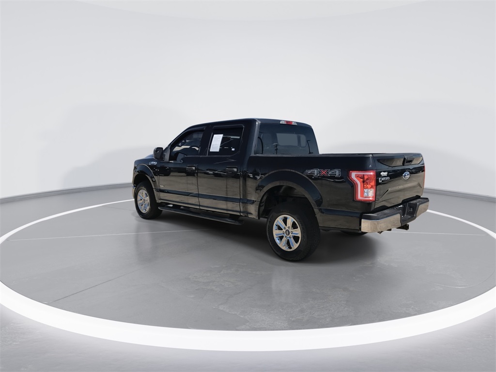 2015 Ford F-150 XLT photo 6