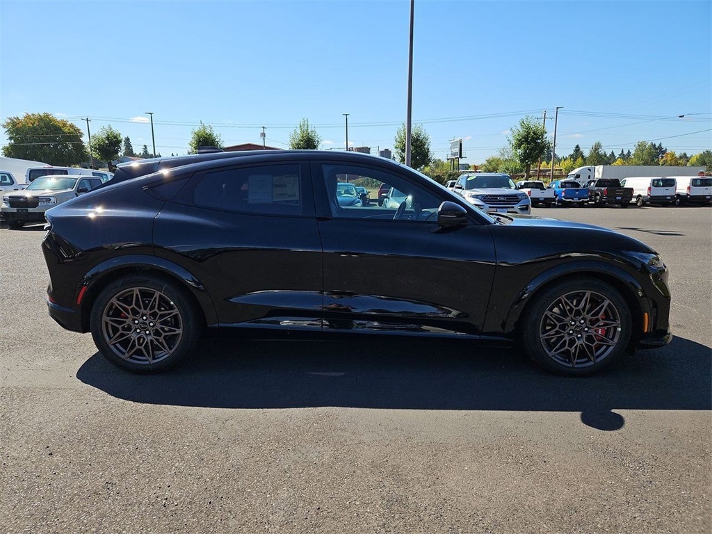 2025 Ford Mustang Mach-E GT photo 6