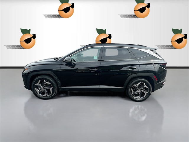 2022 Hyundai Tucson Hybrid Limited photo 4