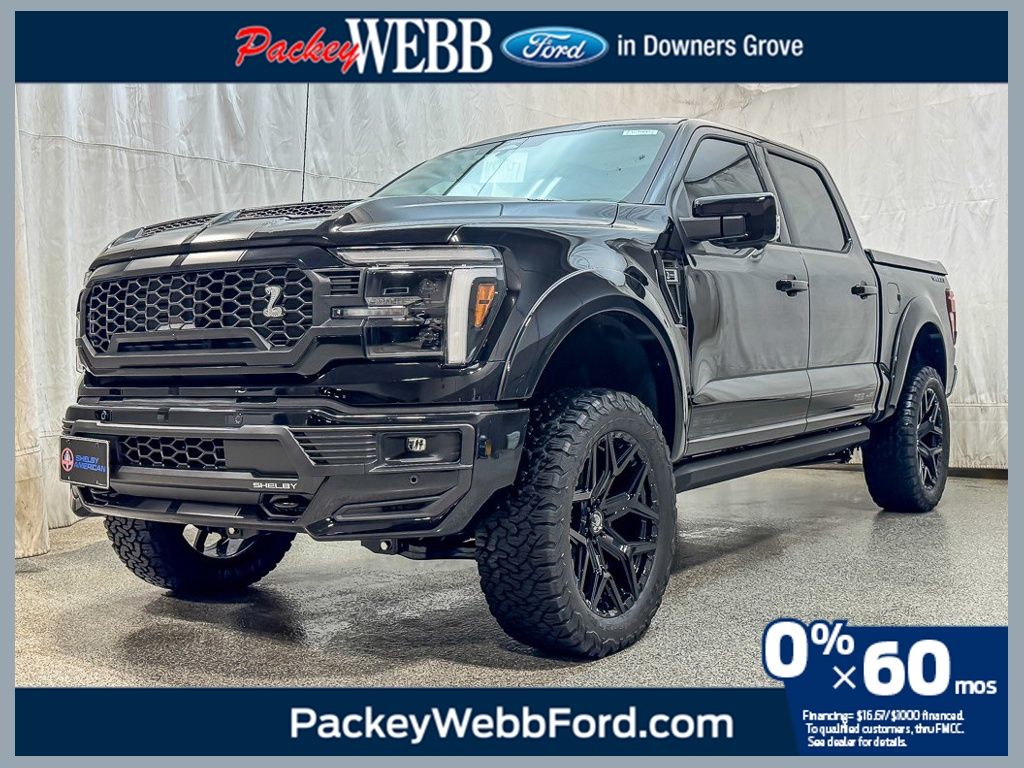 2025 FORD F-150 - Image 1