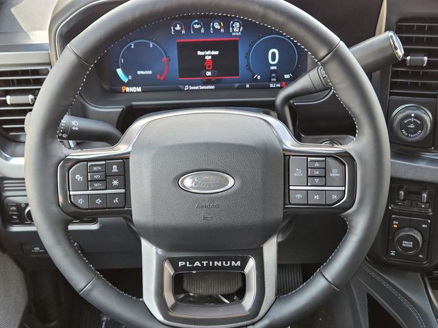 2026 Ford F-250 Platinum photo 13