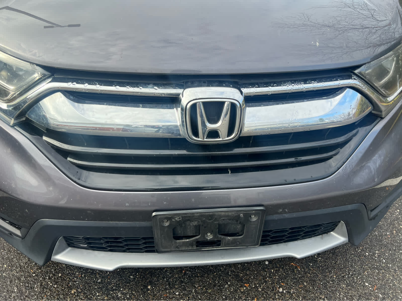 2019 Honda CR-V LX photo 4