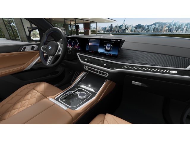 2026 Bmw X6 photo 11