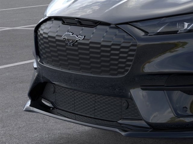 2025 Ford Mustang Mach-E GT photo 14