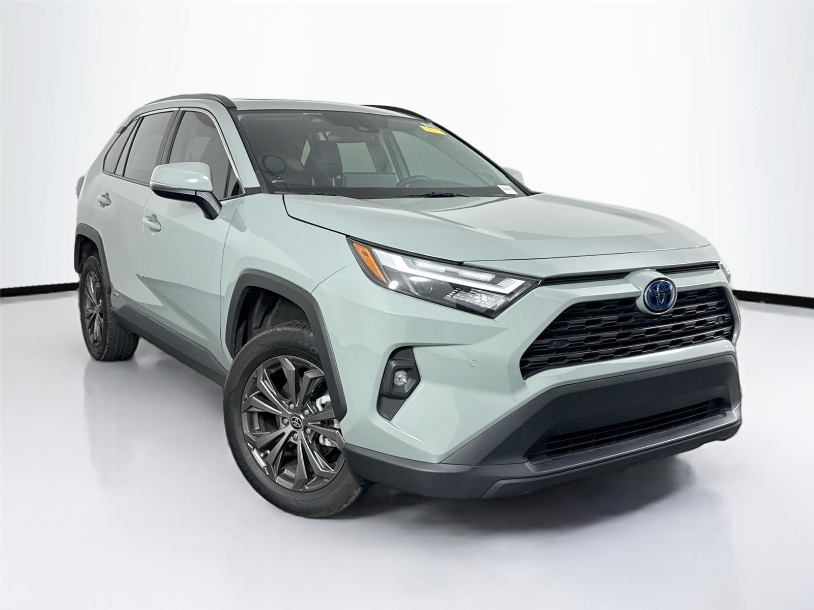 2023 Toyota RAV4 Hybrid XLE Premium photo 4