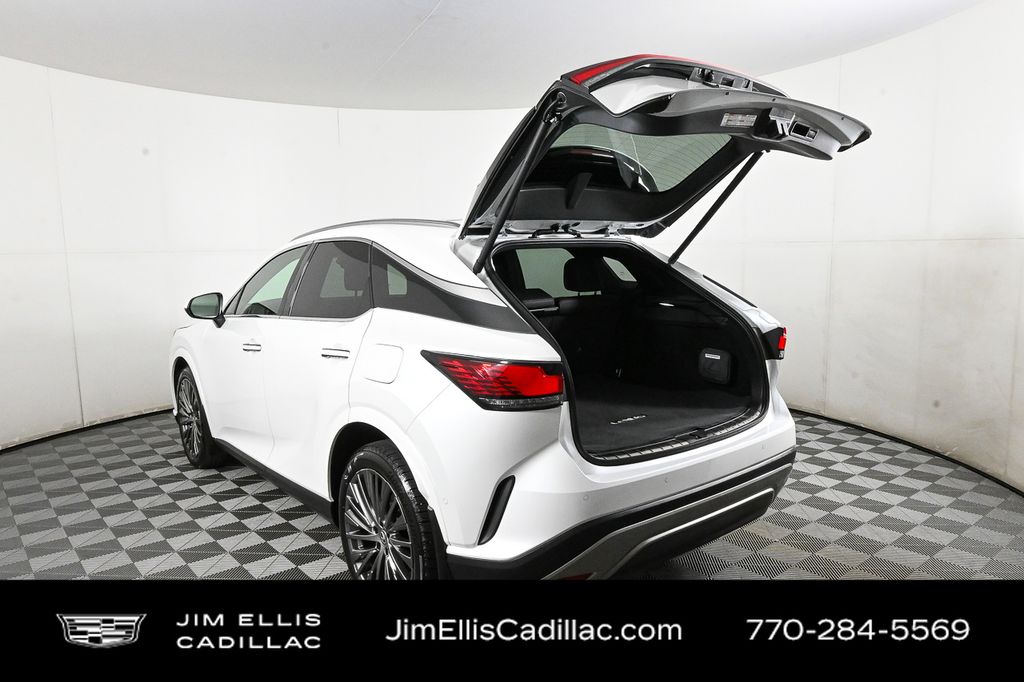 2024 Lexus RX Luxury photo 30