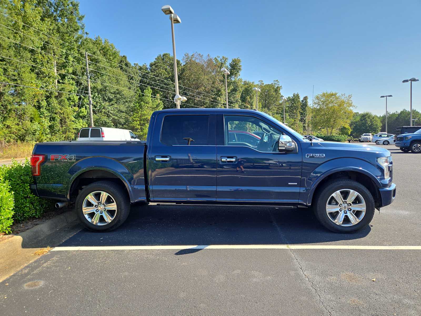 2016 Ford F-150 Platinum photo 4