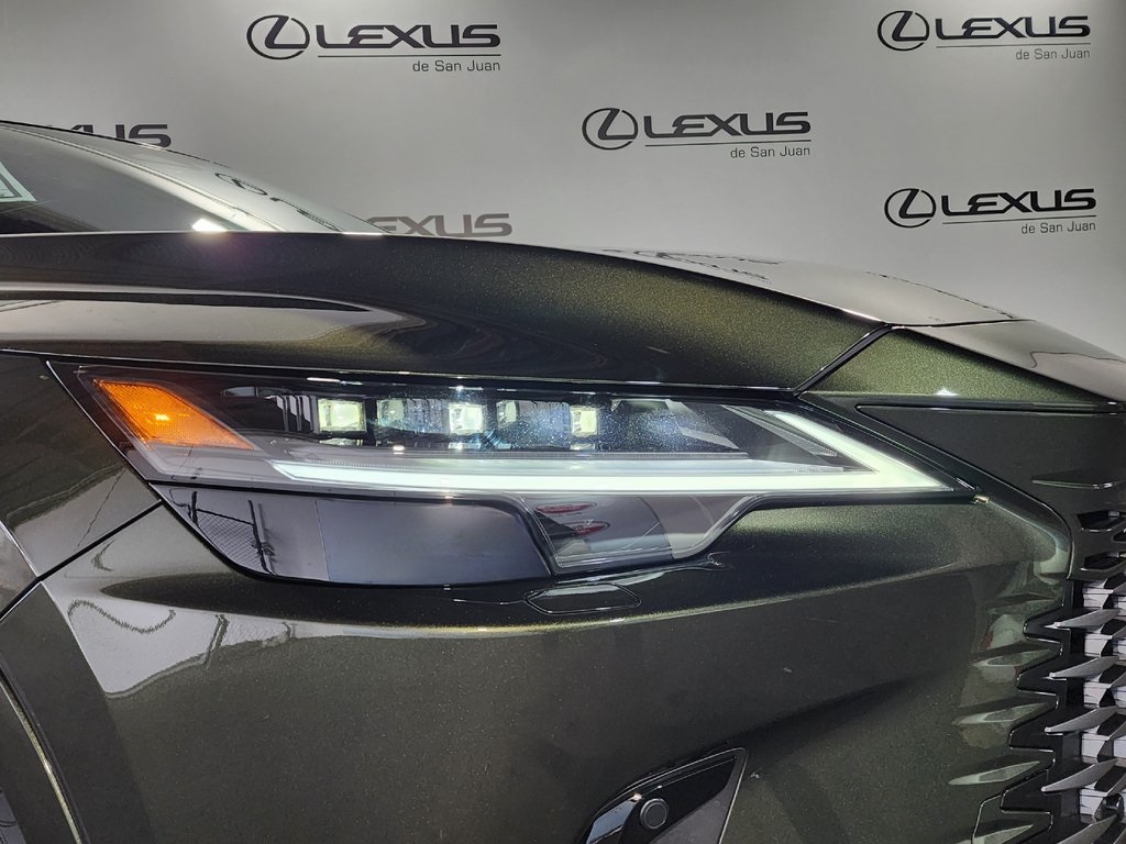 2025 Lexus RX 450h+ Luxury photo 5