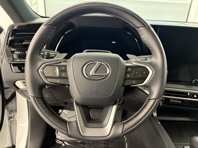 2024 Lexus RX 350h photo 11