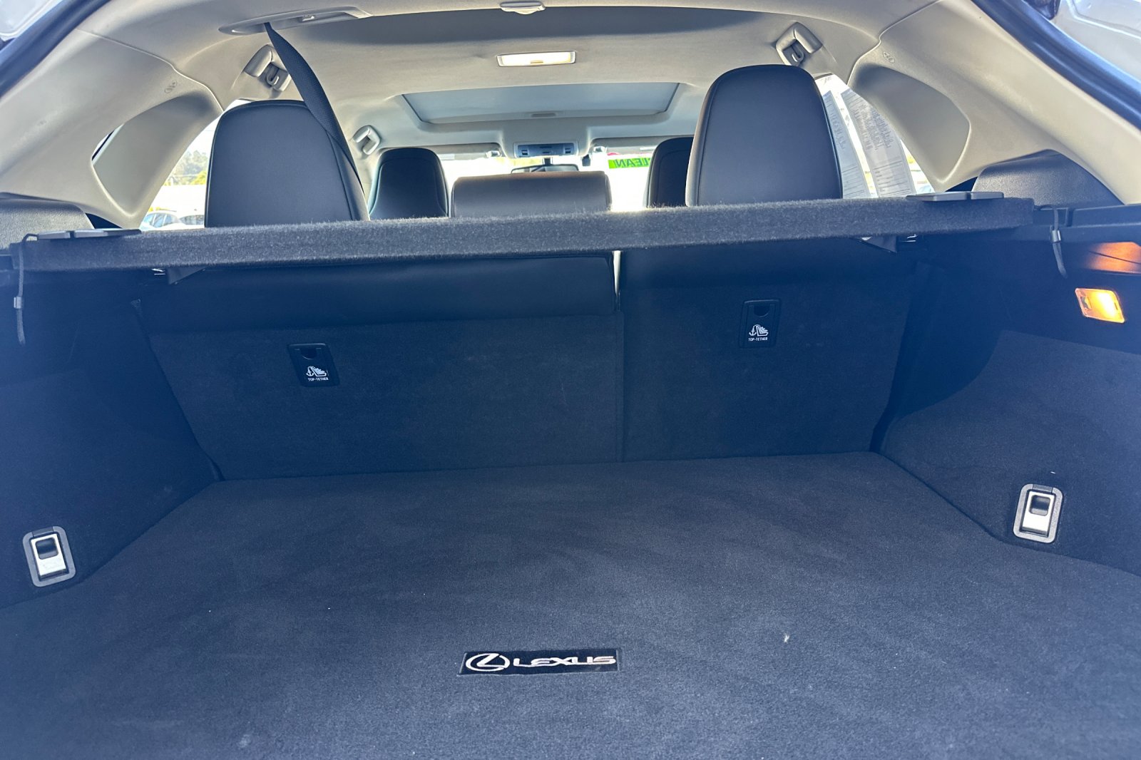 2016 Lexus NX 300h Luxury photo 14