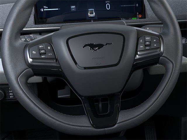 2025 Ford Mustang Mach-E Premium photo 12