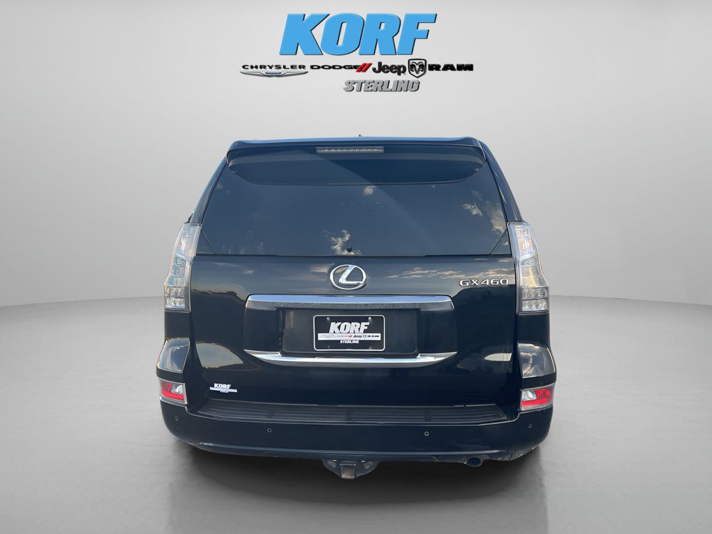 2019 Lexus GX 460 Luxury photo 6