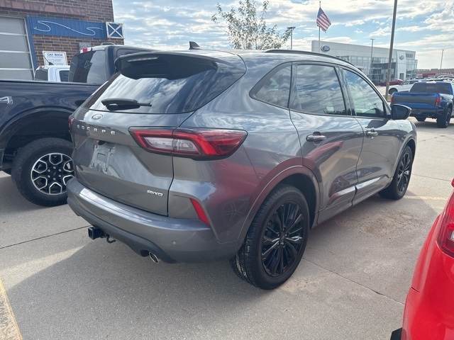 2023 Ford Escape ST-Line Elite photo 4