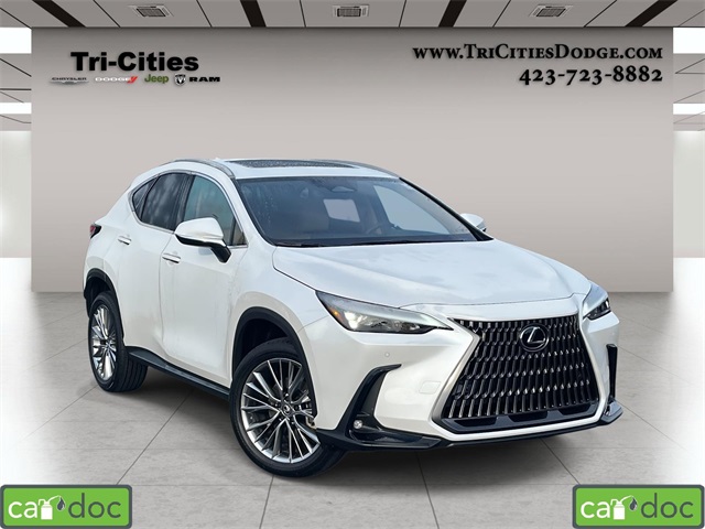 2025 Lexus NX Hybrid 350h's photo
