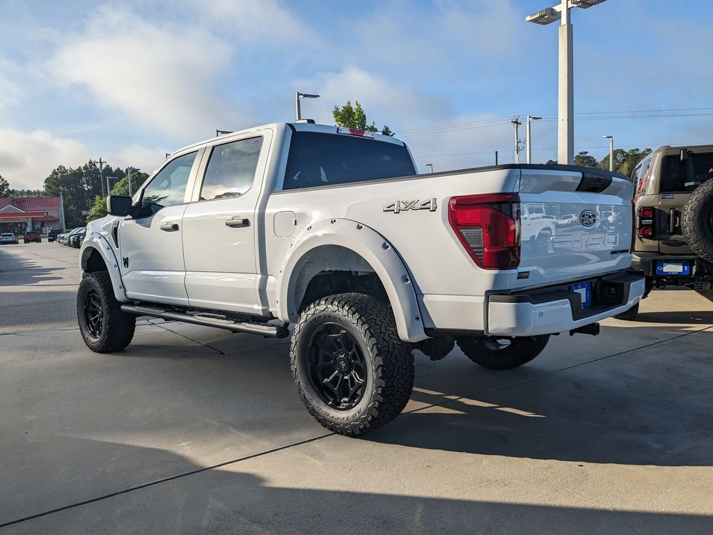 2025 Ford F-150 STX photo 6