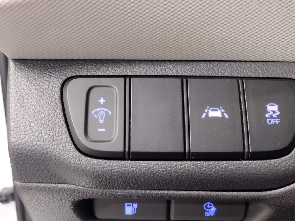 2020 Hyundai Ioniq Electric SE photo 19