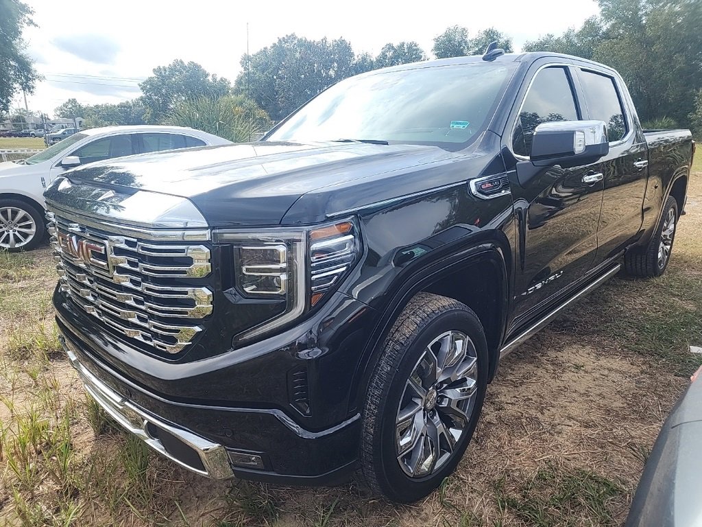 2024 GMC Sierra 1500 Denali Denali's photo