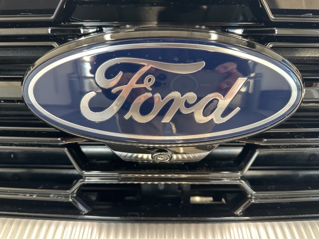 2025 Ford Expedition Platinum photo 2
