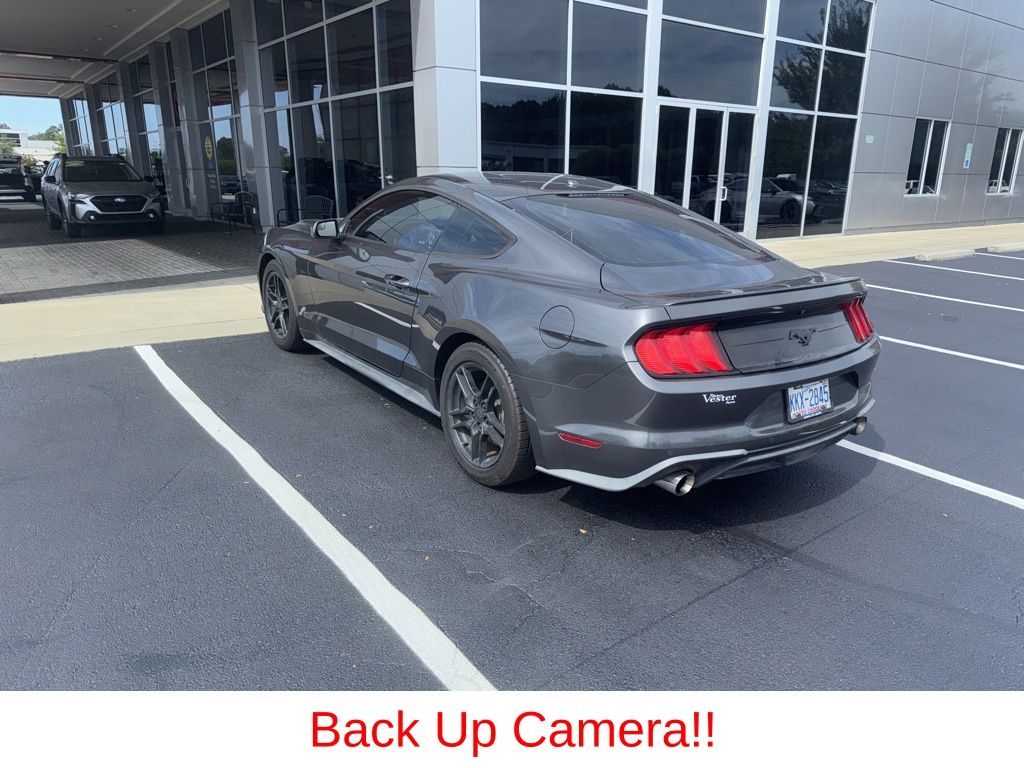 2019 Ford Mustang EcoBoost photo 3