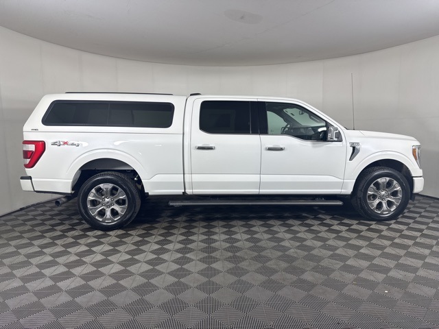 2021 Ford F-150 Platinum photo 2