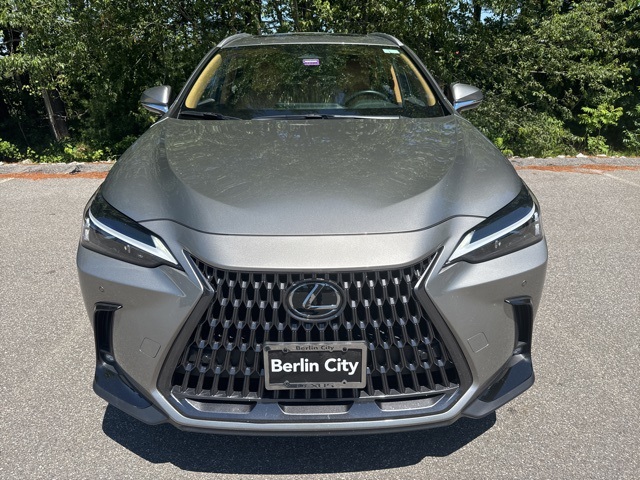 2025 Lexus NX 350 Premium photo 5