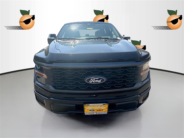 2025 Ford F-150 STX photo 2