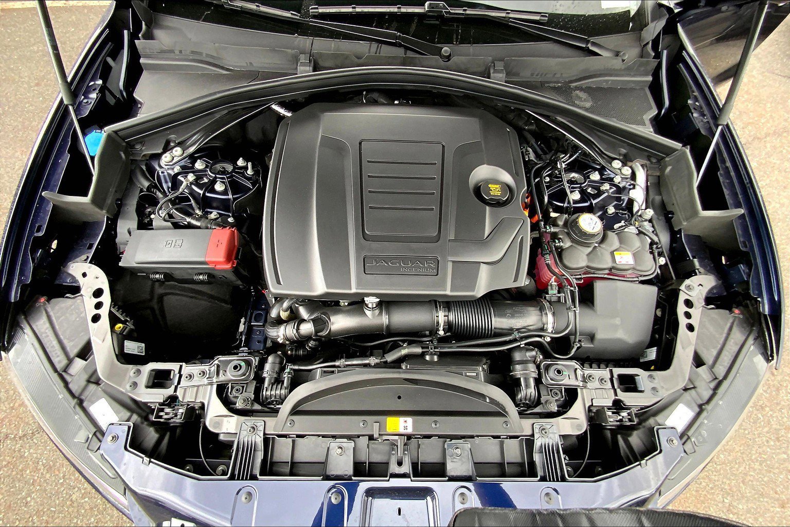 2026 Jaguar F-PACE P250 R-Dynamic S photo 11