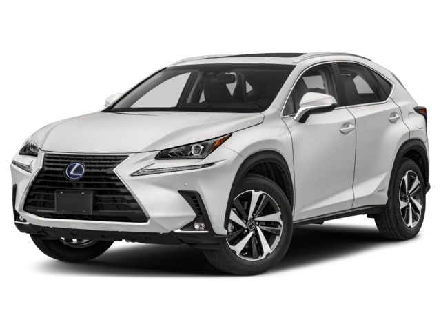 2018 Lexus NX 300h's photo