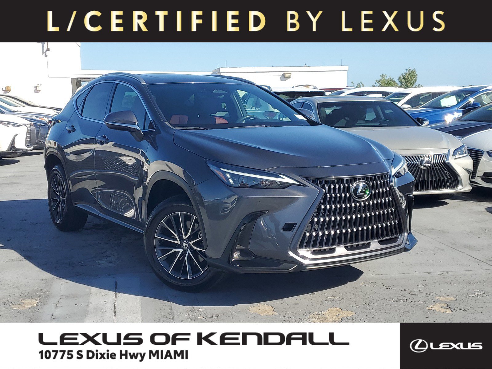 2024 Lexus NX 250's photo