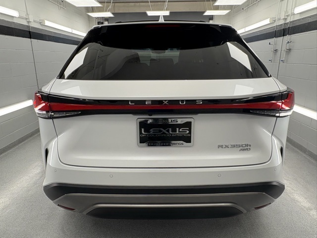 2024 Lexus RX 350h photo 7