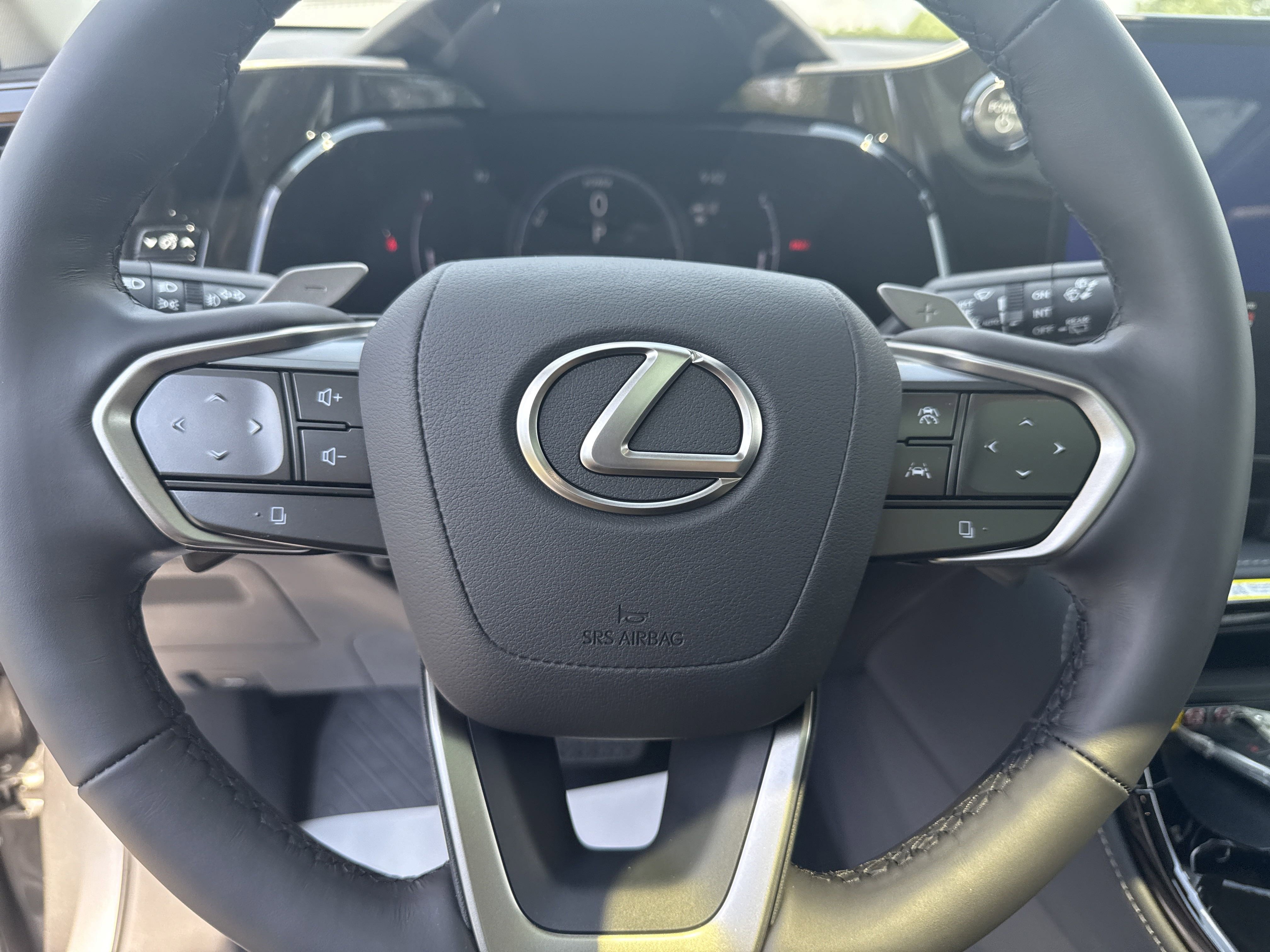 2025 Lexus NX 350h Luxury AWD photo 14