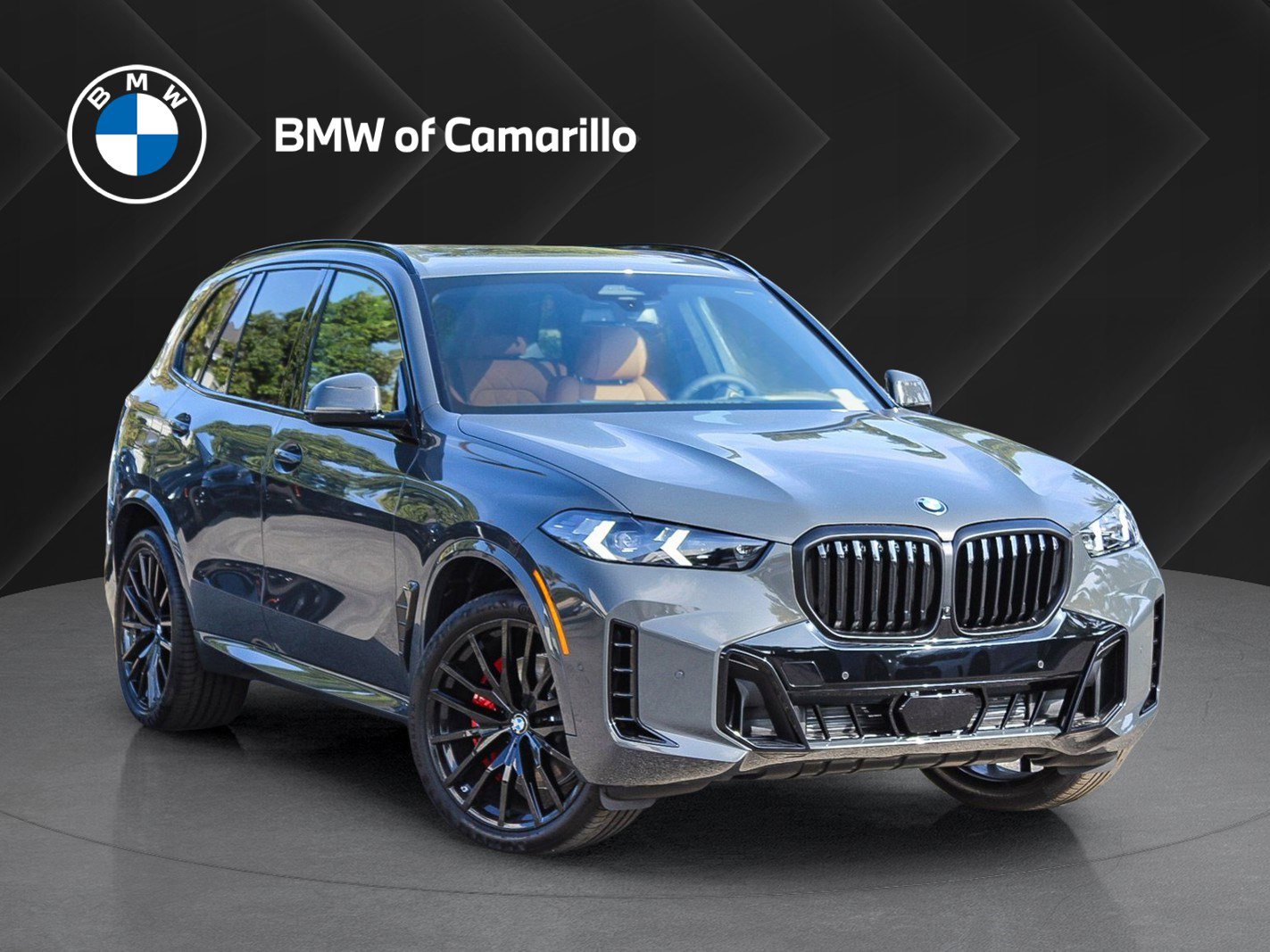 2026 BMW X5 40i's photo