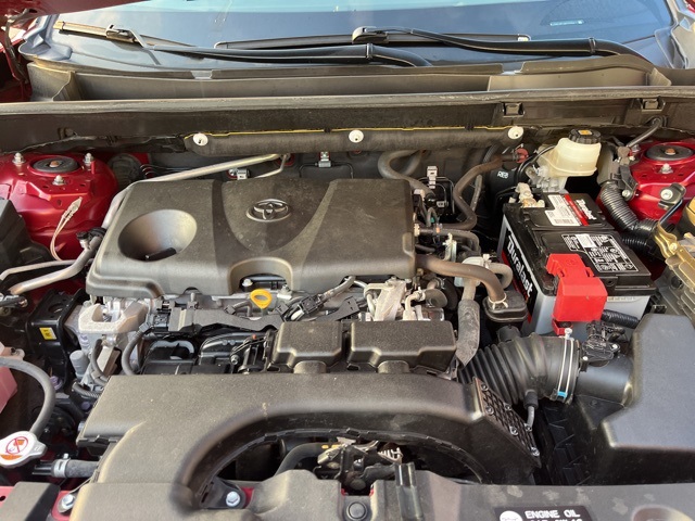 2019 Toyota RAV4 XLE Premium photo 31