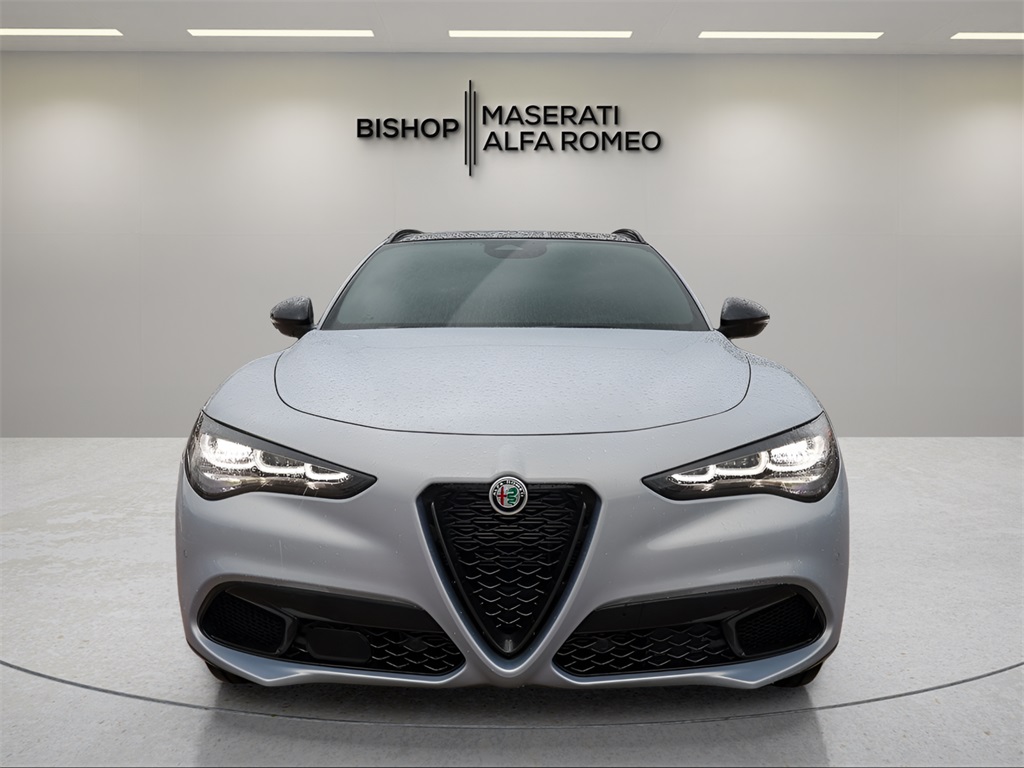 2025 Alfa Romeo Stelvio Base photo 2