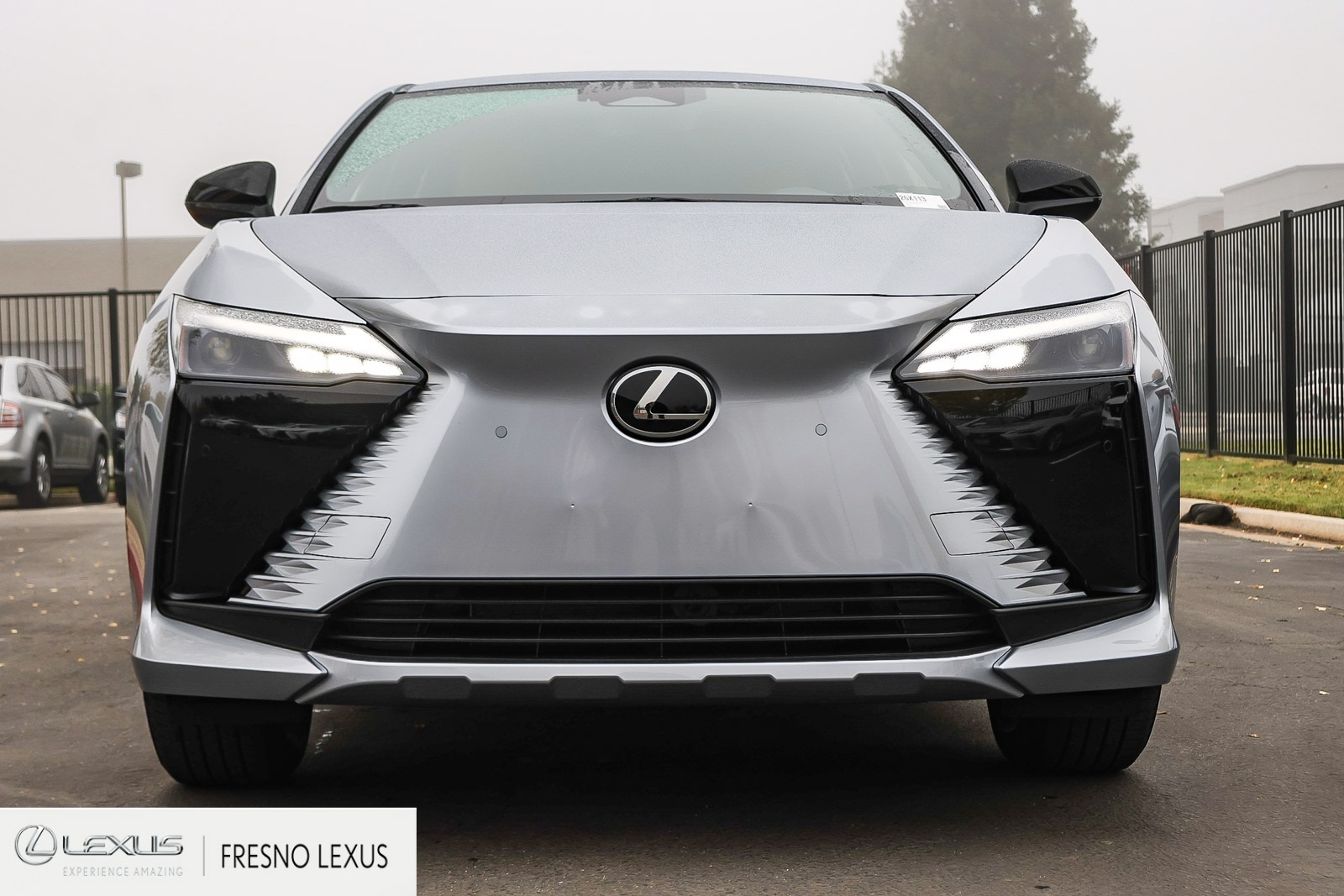 2026 Lexus RZ photo 2