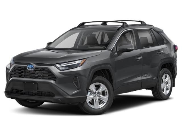 2025 Toyota RAV4 XLE's photo