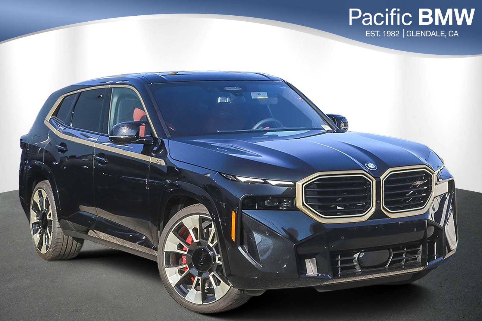 2025 BMW XM 