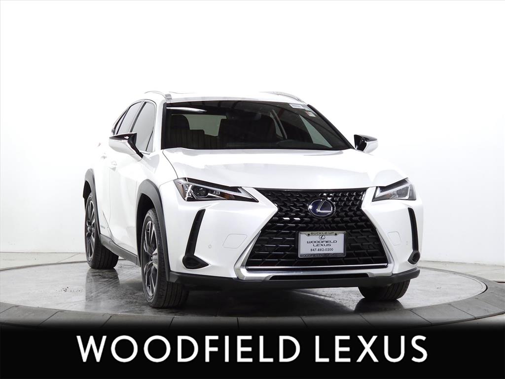 2019 Lexus UX Hybrid 250h's photo
